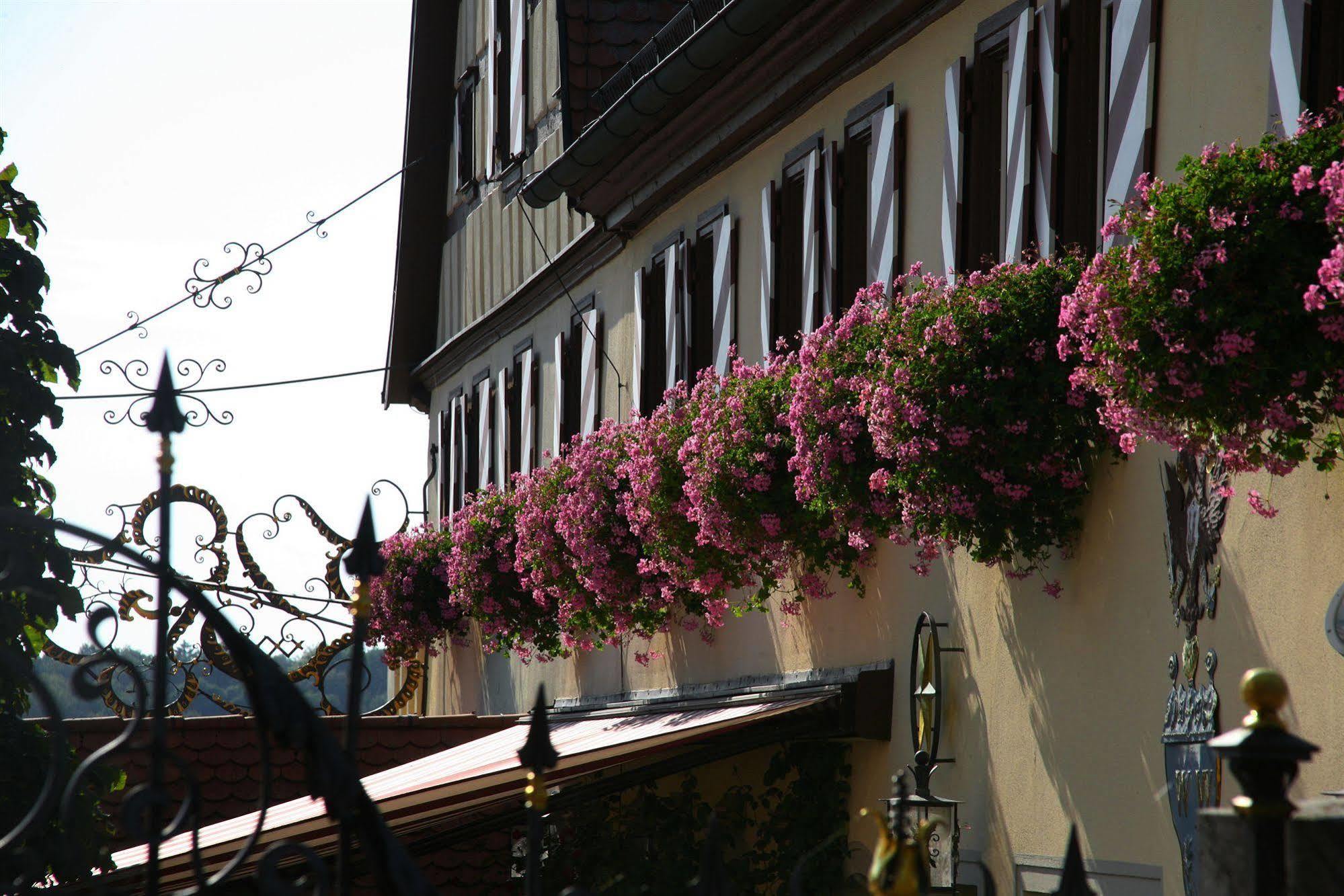 Hotel Brauereigasthof Landwehr-Braeu Reichelshofen Extérieur photo